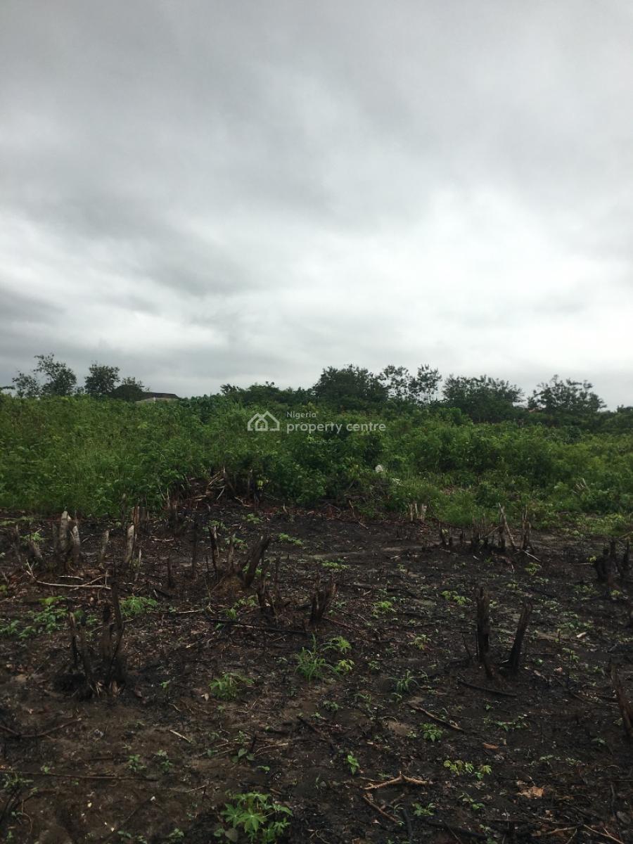 Pepper and Oil Palm Farmland, Owojo, Mowe Ofada, Ogun, Land for Sale