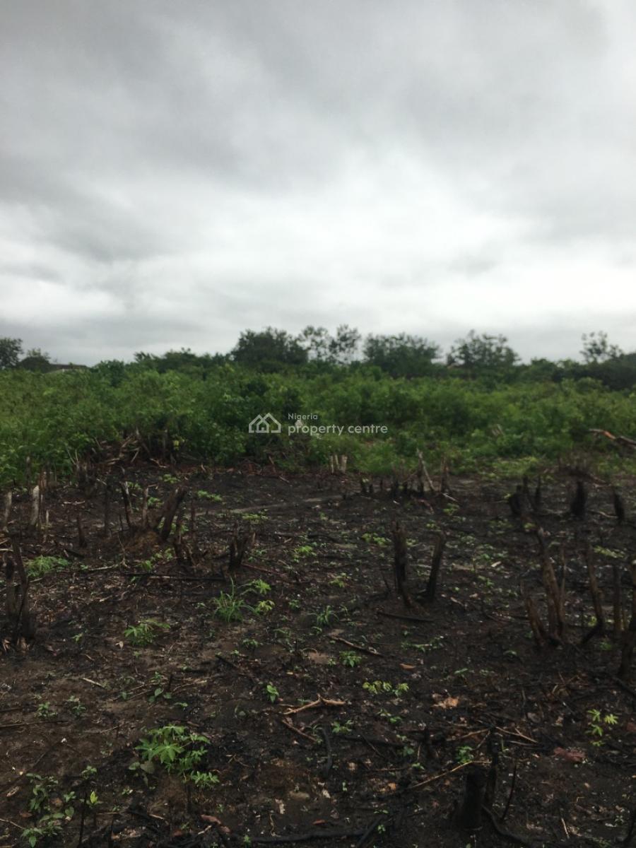 Pepper and Oil Palm Farmland, Owojo, Mowe Ofada, Ogun, Land for Sale
