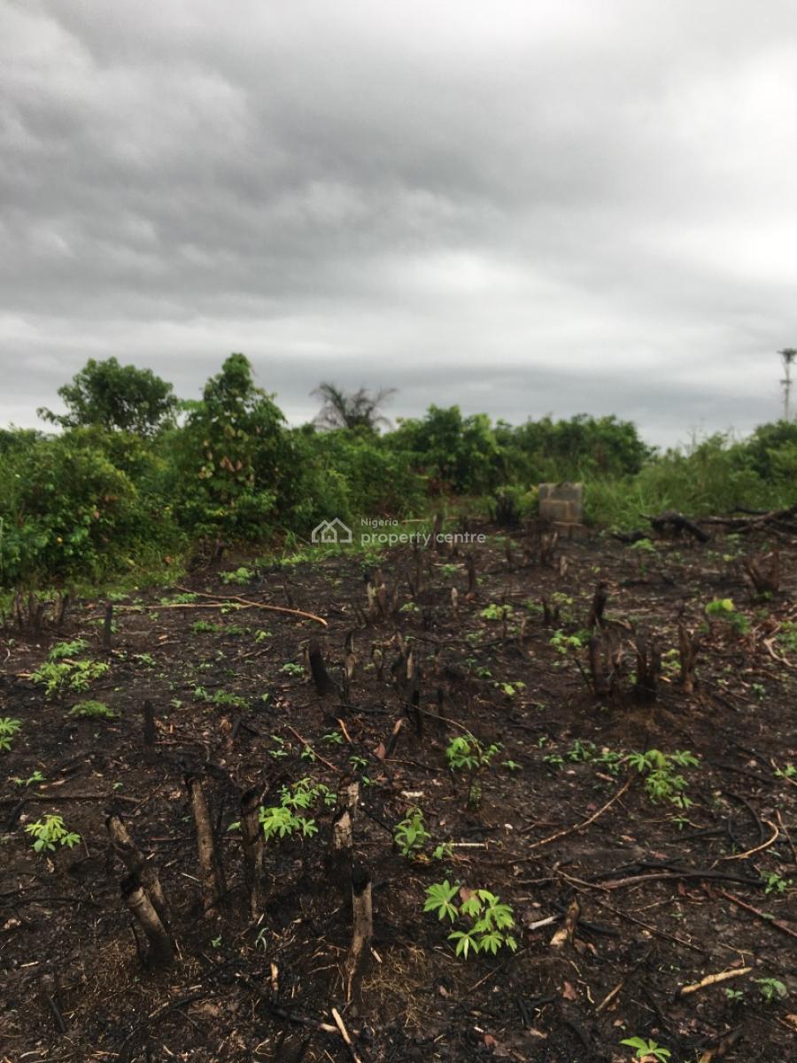 Pepper and Oil Palm Farmland, Owojo, Mowe Ofada, Ogun, Land for Sale