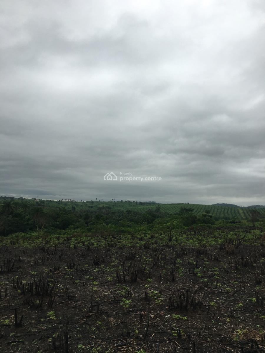 Pepper and Oil Palm Farmland, Owojo, Mowe Ofada, Ogun, Land for Sale