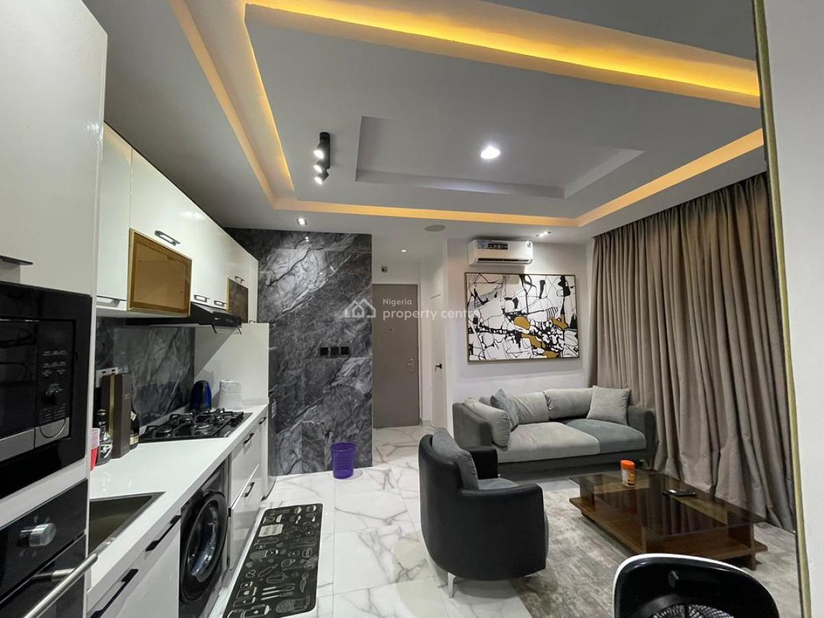 Luxury Fully Furnished 1 Bedroom Apartment, Ikoyi, Lagos, Mini Flat (room and Parlour) for Sale
