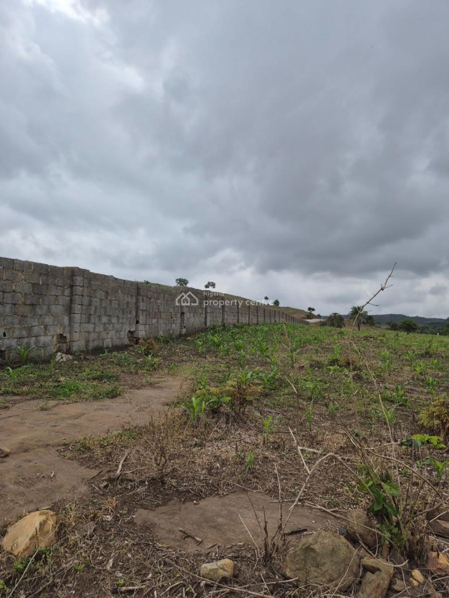 Luxury 4 Bedroom Fully Detached Duplex, Spring Estate, Apo, Abuja, Mixed-use Land for Sale