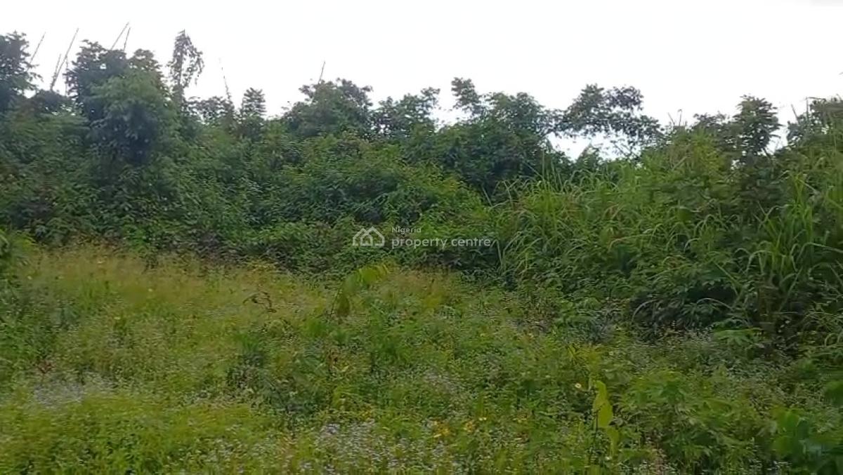 100ft By 100ft Land, Oghede Community, Ekehuan Road, Benin, Oredo, Edo, Residential Land for Sale