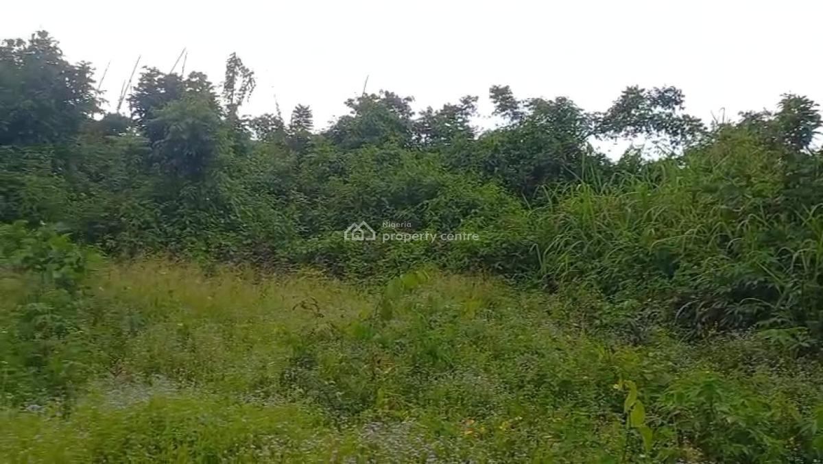 100ft By 100ft Land, Oghede Community, Ekehuan Road, Benin, Oredo, Edo, Residential Land for Sale