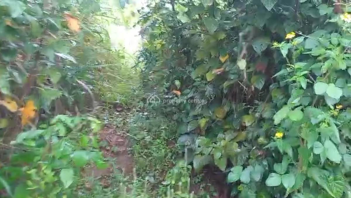 100ft By 100ft Land, Oghede Community, Ekehuan Road, Benin, Oredo, Edo, Residential Land for Sale