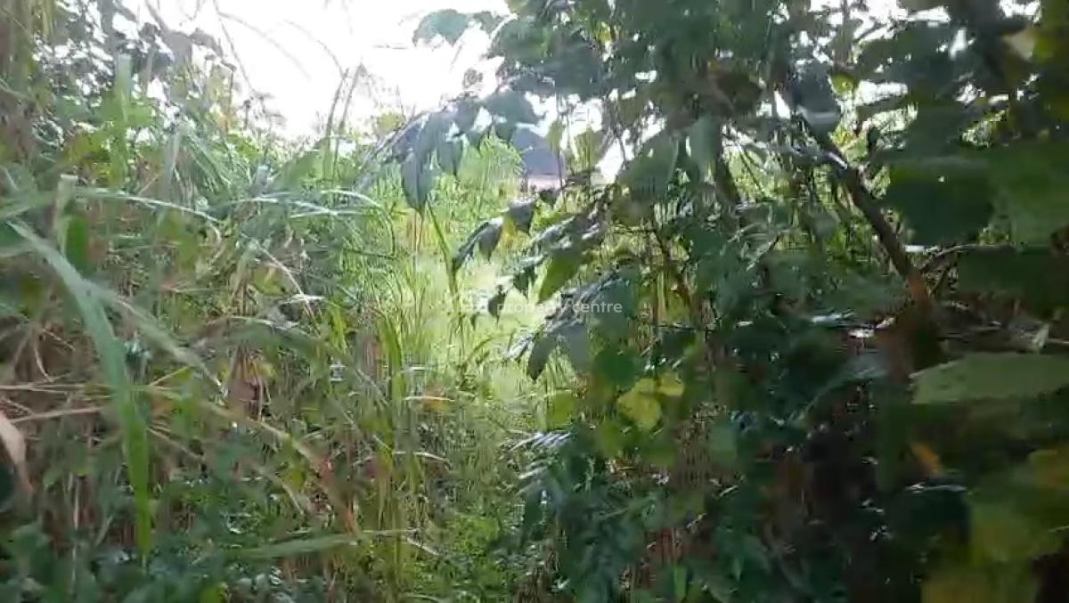 100ft By 100ft Land, Oghede Community, Ekehuan Road, Benin, Oredo, Edo, Residential Land for Sale