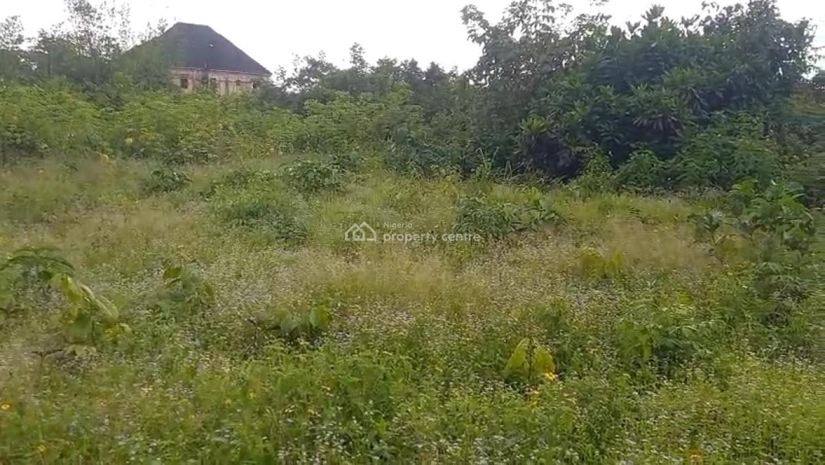 100ft By 100ft Land, Oghede Community, Ekehuan Road, Benin, Oredo, Edo, Residential Land for Sale