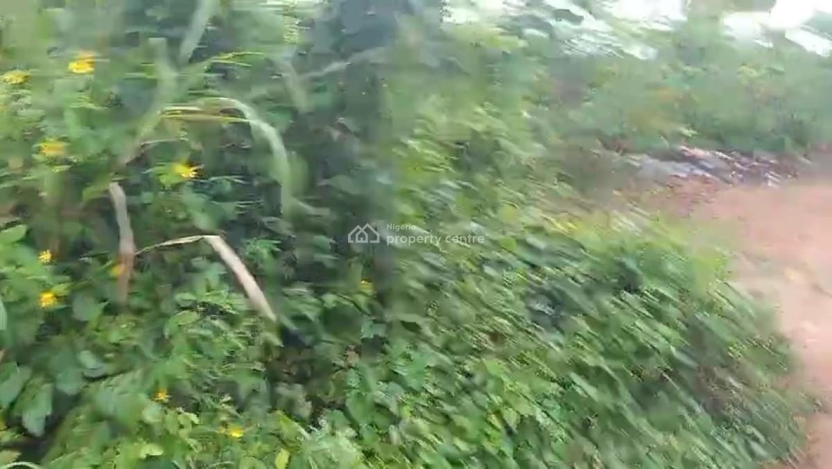 100ft By 100ft Land, Oghede Community, Ekehuan Road, Benin, Oredo, Edo, Residential Land for Sale