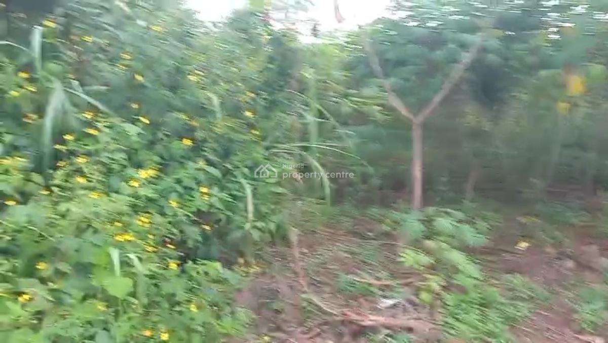 100ft By 100ft Land, Oghede Community, Ekehuan Road, Benin, Oredo, Edo, Residential Land for Sale