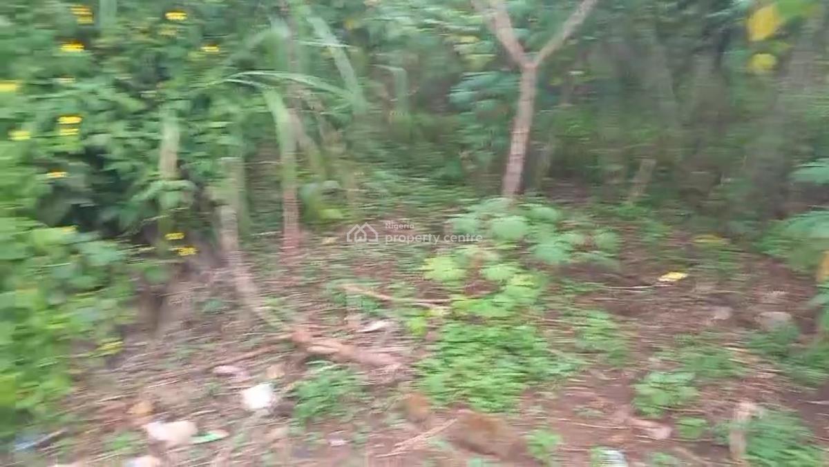 100ft By 100ft Land, Oghede Community, Ekehuan Road, Benin, Oredo, Edo, Residential Land for Sale