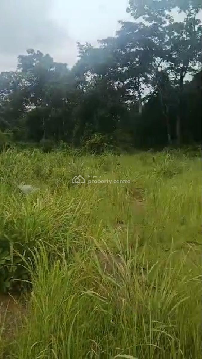 19 Plot of Land, Isuaniocha Awka North L.g.a, Awka, Anambra, Mixed-use Land for Sale