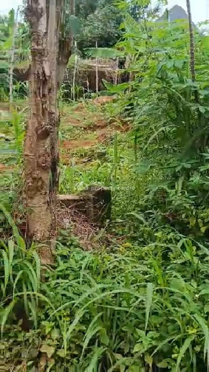 One Plot of Land, Isuaniocha Awka North L.g.a, Awka, Anambra, Residential Land for Sale