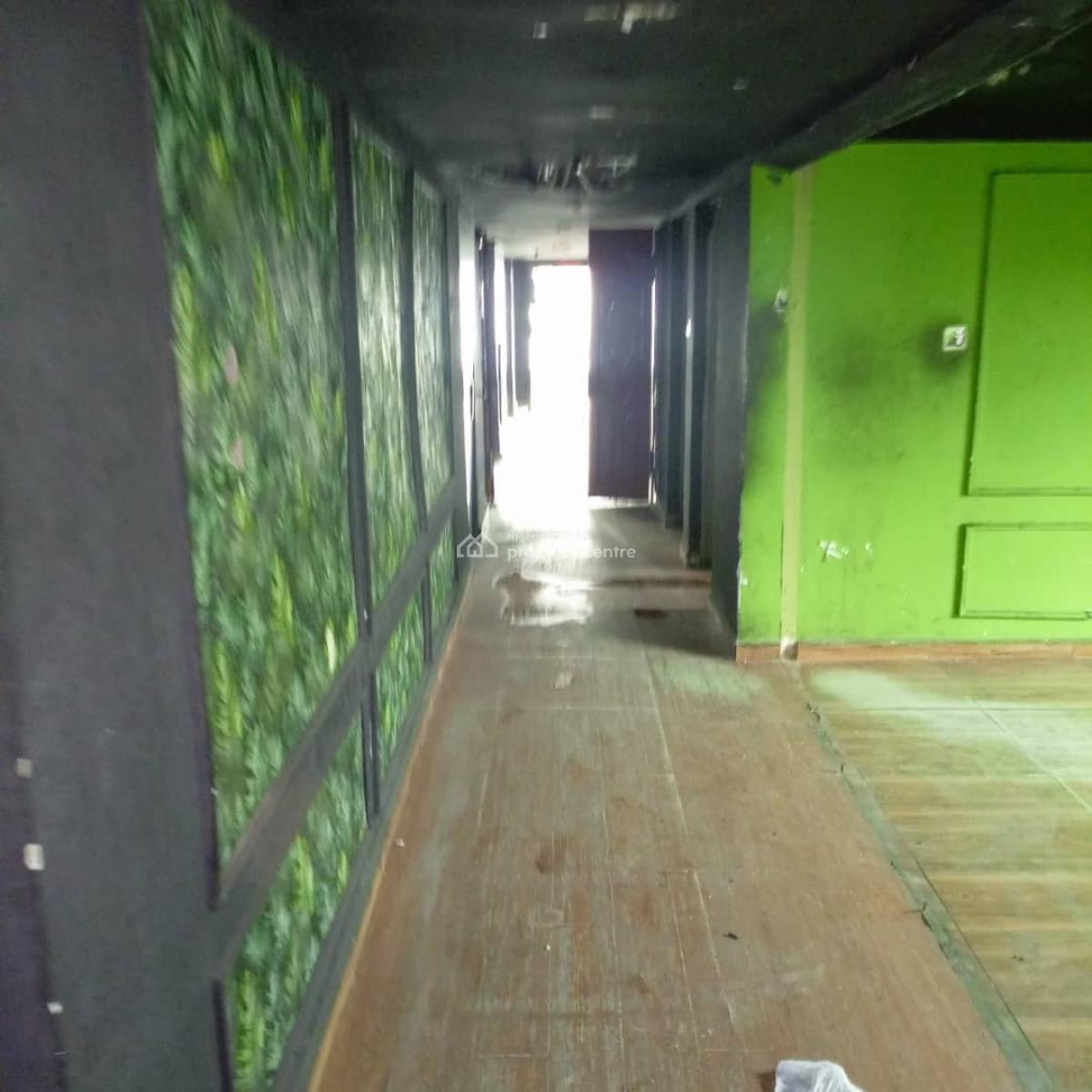 Nice and Spacious Detached Bungalow, Off Masha, Masha, Surulere, Lagos, Detached Bungalow for Rent