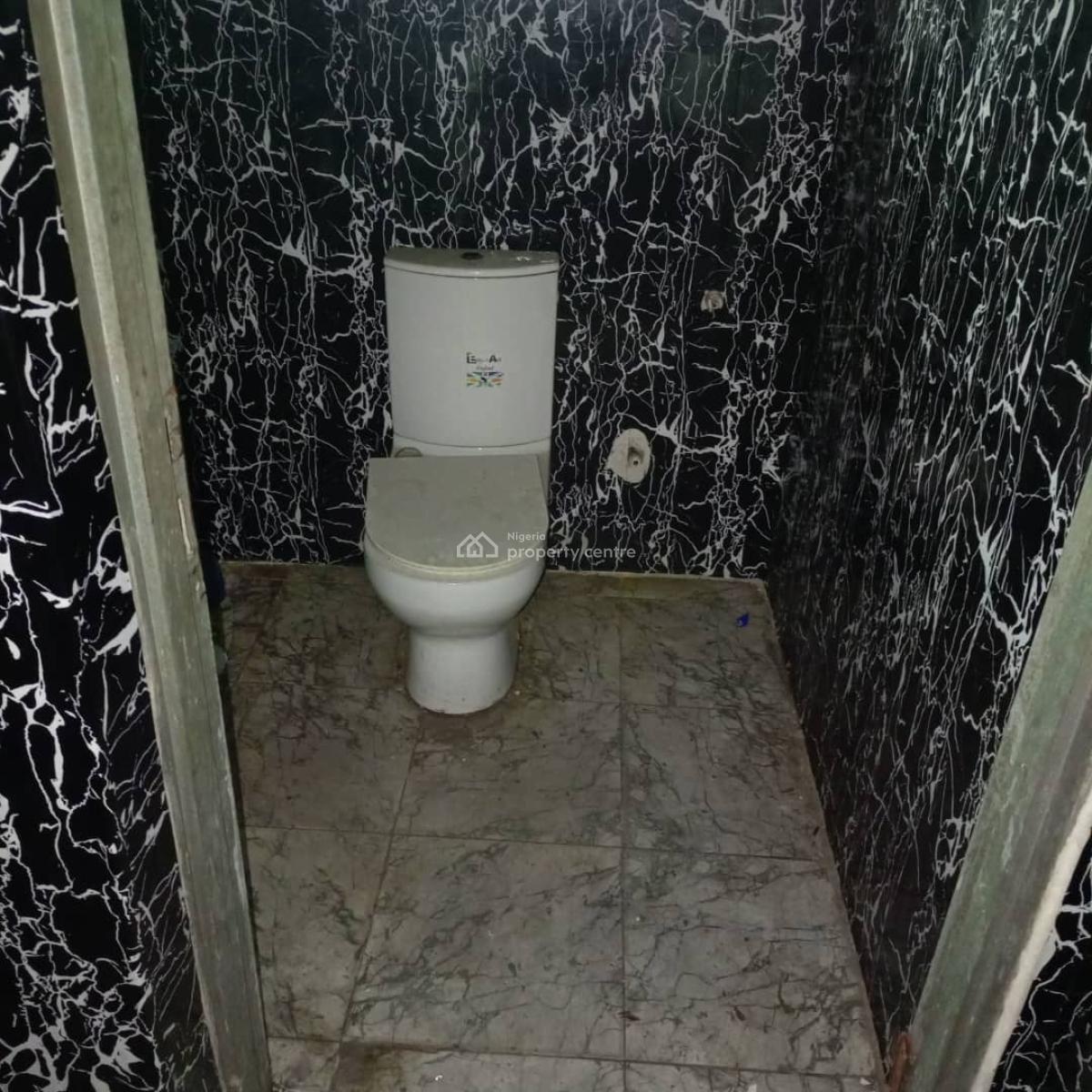 Nice and Spacious Detached Bungalow, Off Masha, Masha, Surulere, Lagos, Detached Bungalow for Rent