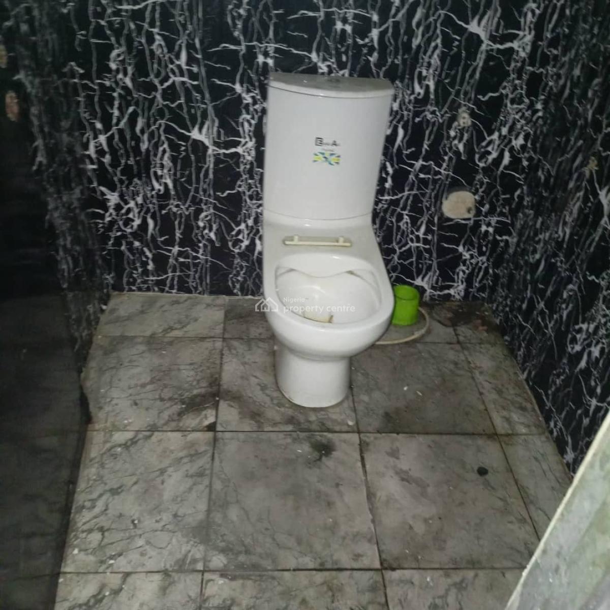 Nice and Spacious Detached Bungalow, Off Masha, Masha, Surulere, Lagos, Detached Bungalow for Rent