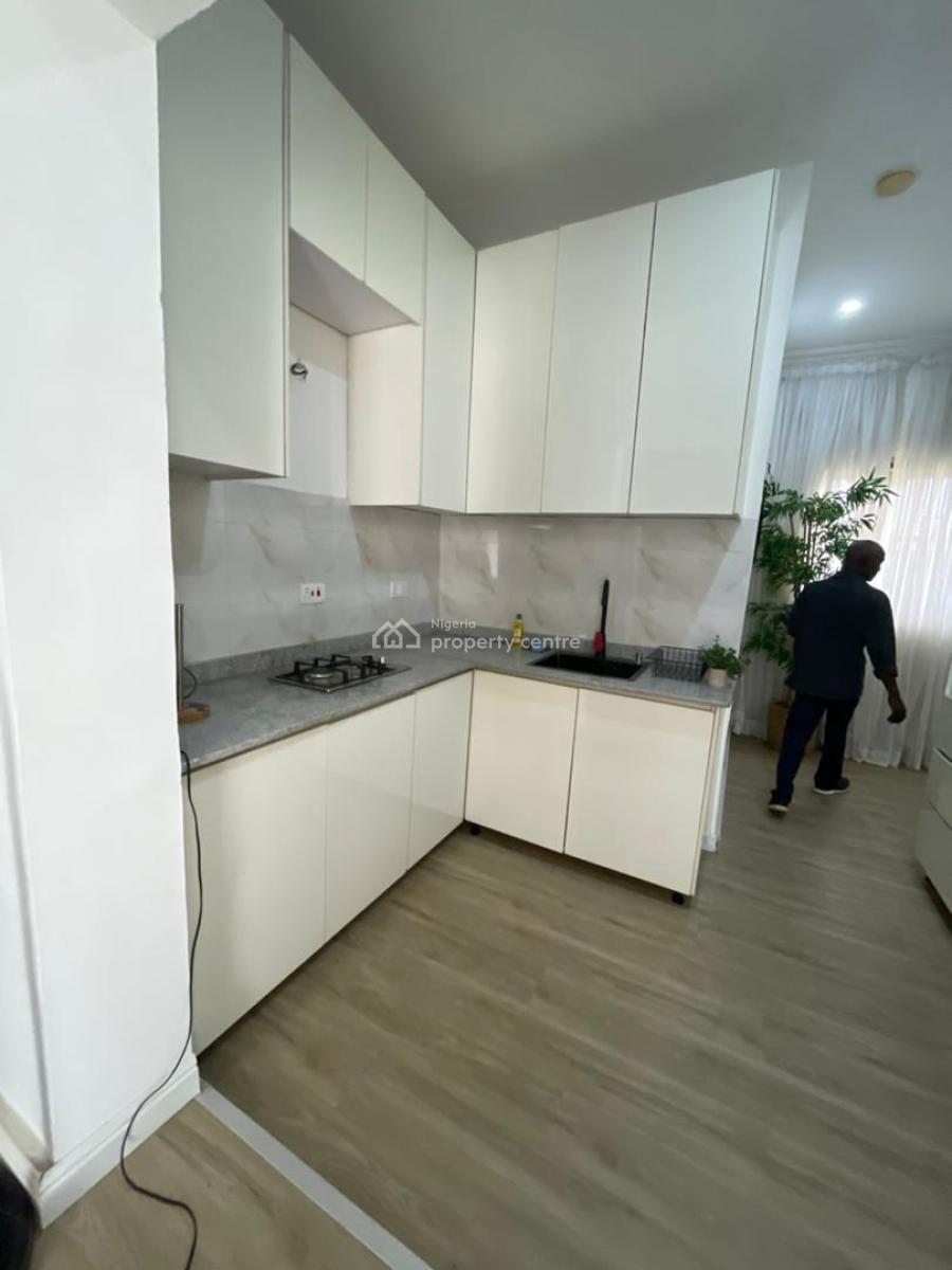 Luxury Fully Furnished 2 Bedroom Apartment with Excellent Facility, Ikate, Lekki, Lagos, Flat / Apartment for Rent