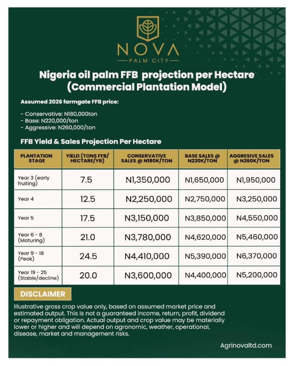 Farmland Investment That Gives Constant Return, Nova Palm City, Abeokuta North, Ogun, Commercial Land for Sale