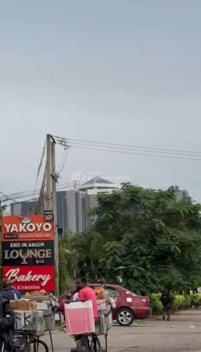 2 Serial Plot 8600sqm Each in Central Area, By Ceddi Plaza, Central Business District, Abuja, Commercial Land for Sale