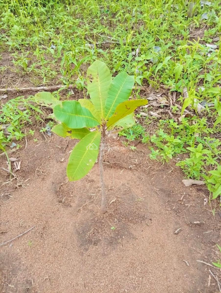 Heritage Farm City Phase 2, Abeokuta North, Ogun, Land for Sale