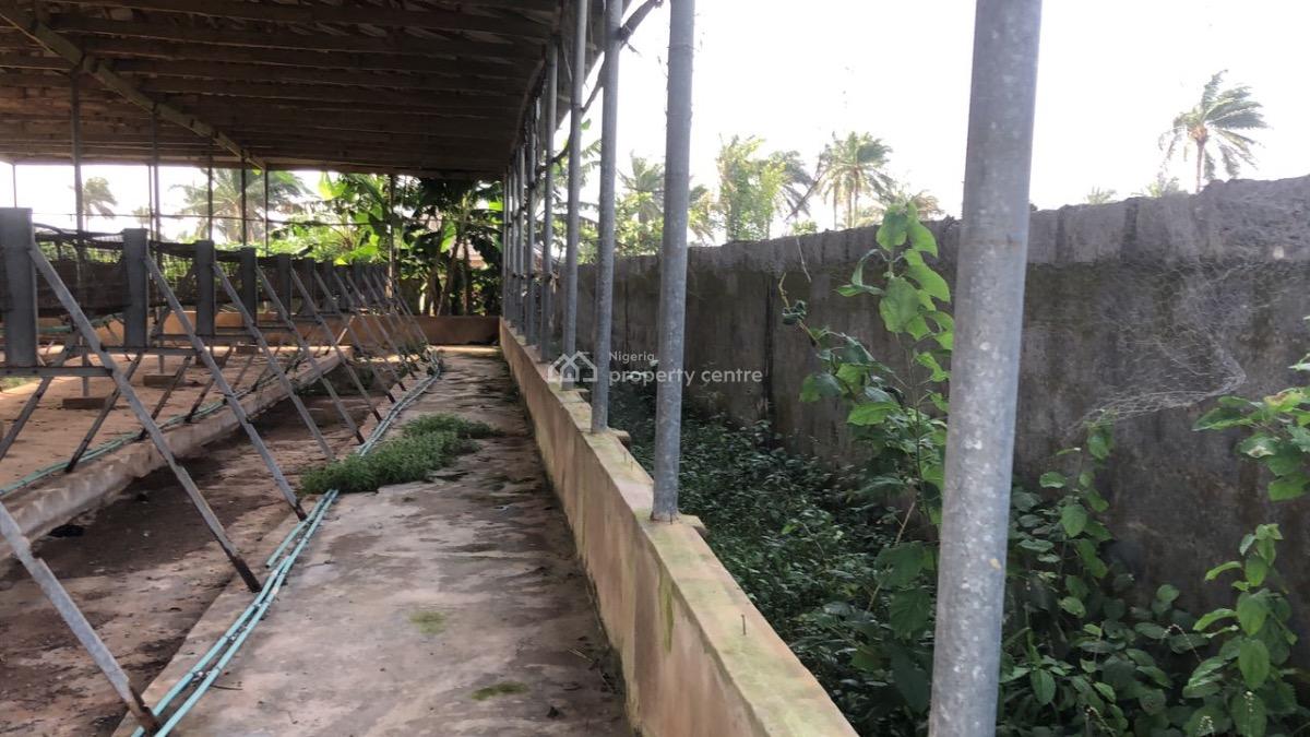 Poultry Farm on 1 Acre, Itagoro, Badagry, Lagos, Tank Farm for Sale