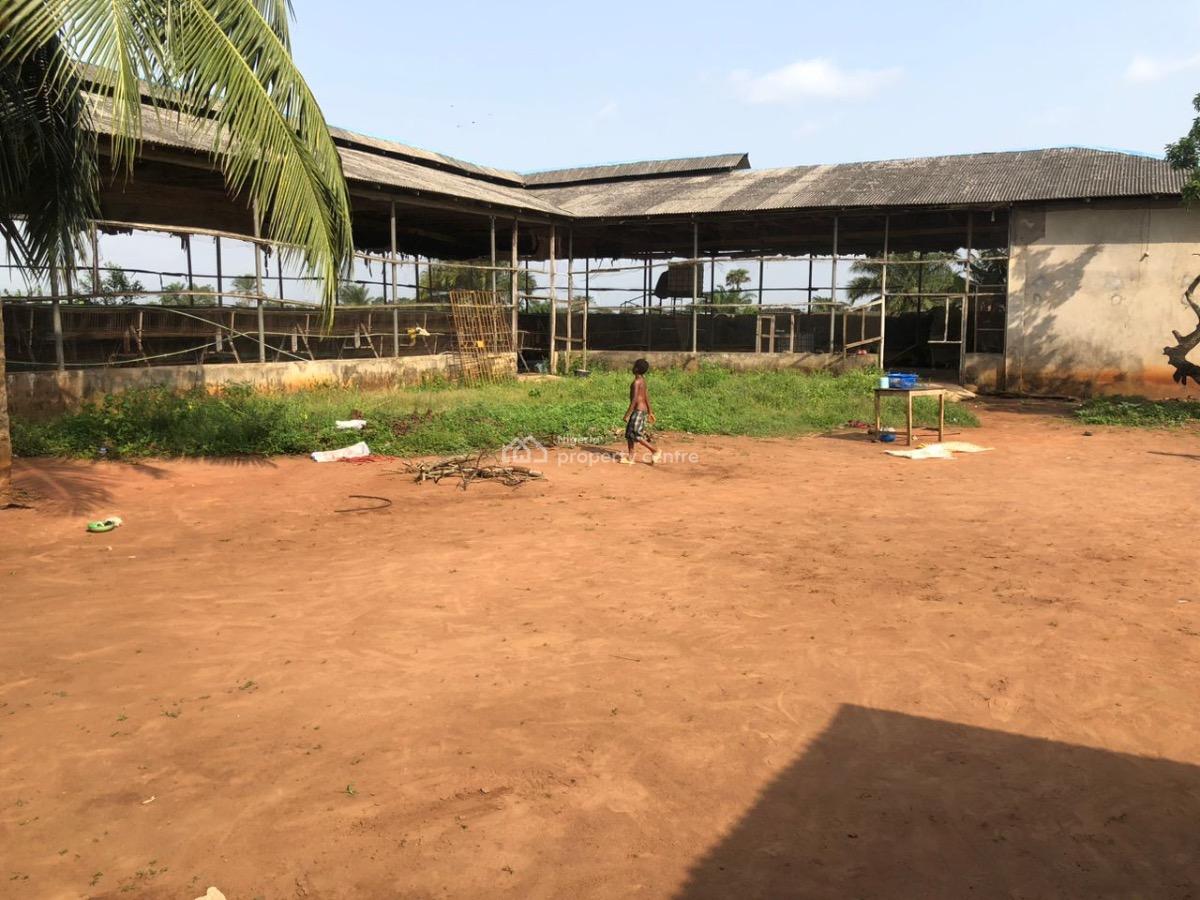 Poultry Farm on 1 Acre, Itagoro, Badagry, Lagos, Tank Farm for Sale