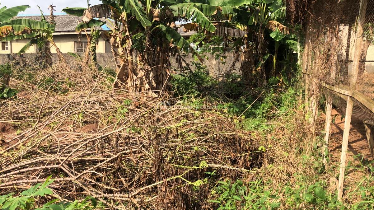 Poultry Farm on 1 Acre, Itagoro, Badagry, Lagos, Tank Farm for Sale