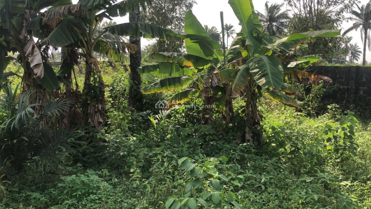 Poultry Farm on 1 Acre, Itagoro, Badagry, Lagos, Tank Farm for Sale