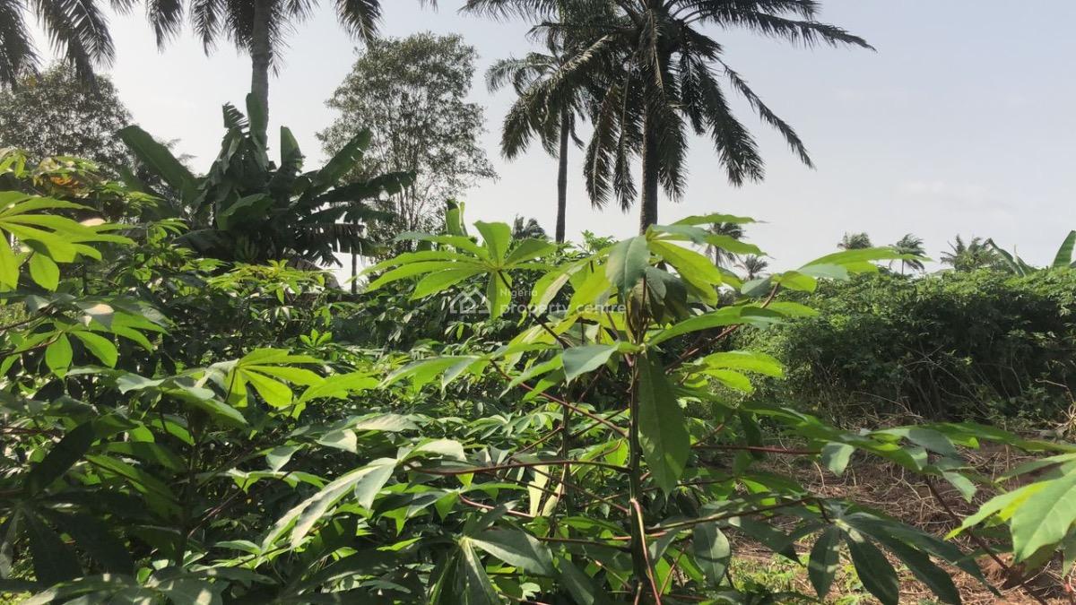 Poultry Farm on 1 Acre, Itagoro, Badagry, Lagos, Tank Farm for Sale
