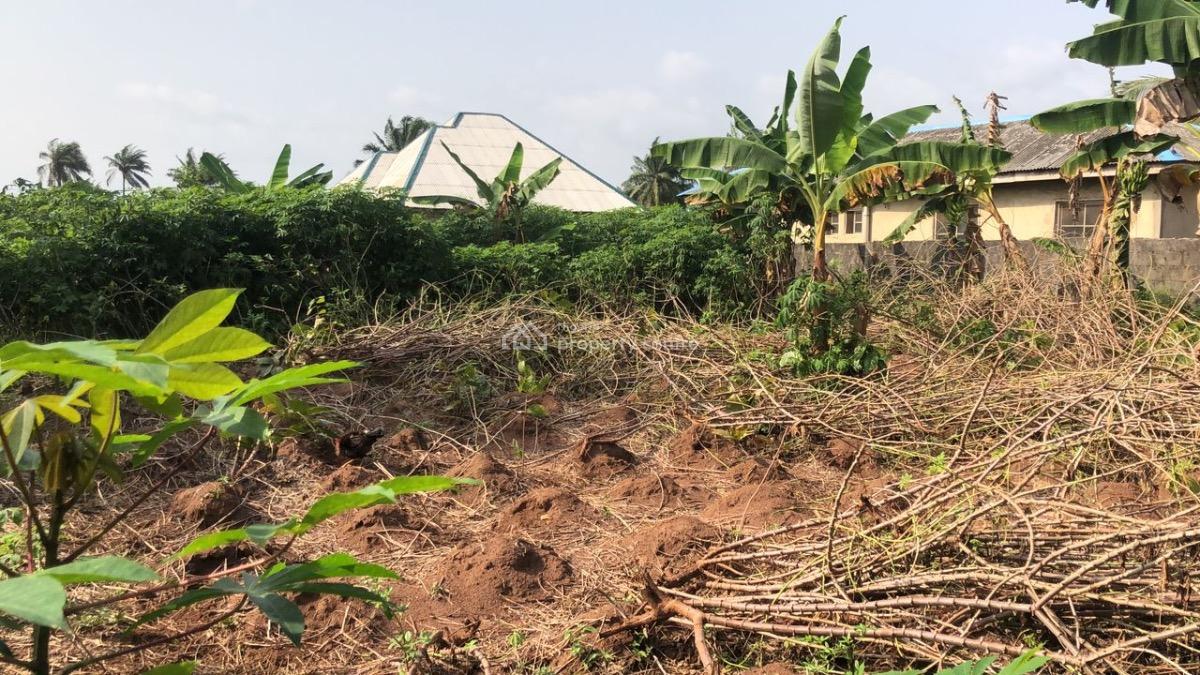 Poultry Farm on 1 Acre, Itagoro, Badagry, Lagos, Tank Farm for Sale