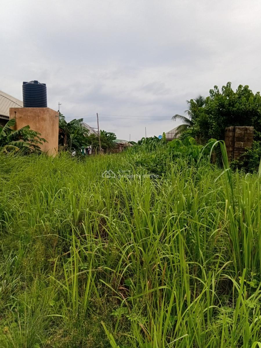 Uncompleted Structure of 4 Units of Mini Flats on Full Plot, Pakuro, Mowe, Mowe Town, Ogun, Detached Bungalow for Sale