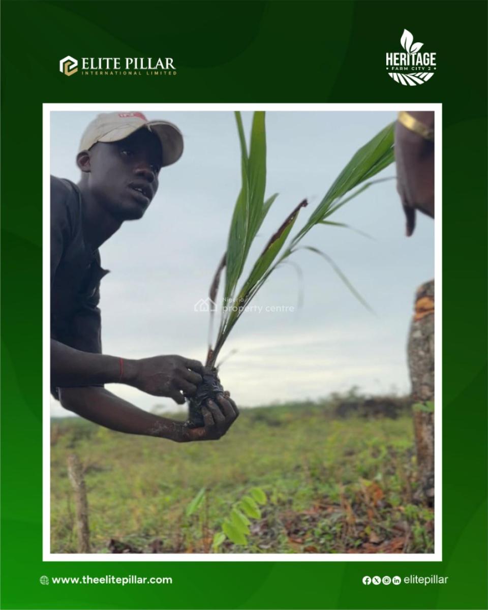 Earn From Farming Several Crops Like Plantain, Cocoa, Oilpalm , Etc, Easy Access to Town & Several Markets, Alabata, Abeokuta North, Ogun, Mixed-use Land for Sale