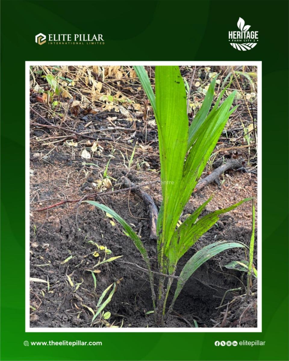 Earn From Farming Several Crops Like Plantain, Cocoa, Oilpalm , Etc, Easy Access to Town & Several Markets, Alabata, Abeokuta North, Ogun, Mixed-use Land for Sale