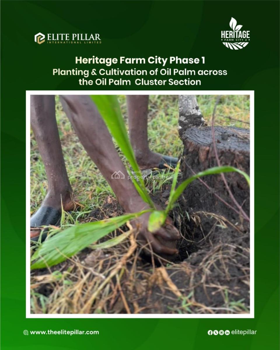 Earn From Farming Several Crops Like Plantain, Cocoa, Oilpalm , Etc, Easy Access to Town & Several Markets, Alabata, Abeokuta North, Ogun, Mixed-use Land for Sale