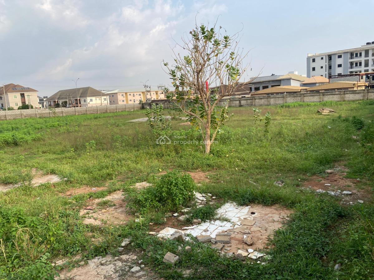 5000sqm Residential Land, By The Express Road, Jahi, Abuja, Residential Land for Sale