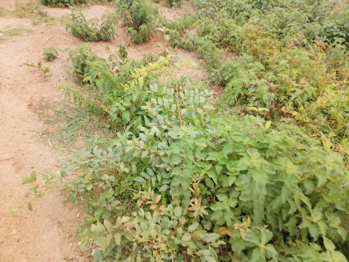 6.74 Hectares Comprehensive Development Land, Katampe Extension, Katampe, Abuja, Mixed-use Land for Sale