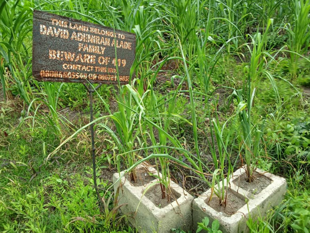 Plots of Land, Olode-olojuoro Area of Oluyole Local Government, Ibadan, Oluyole, Oyo, Mixed-use Land for Sale