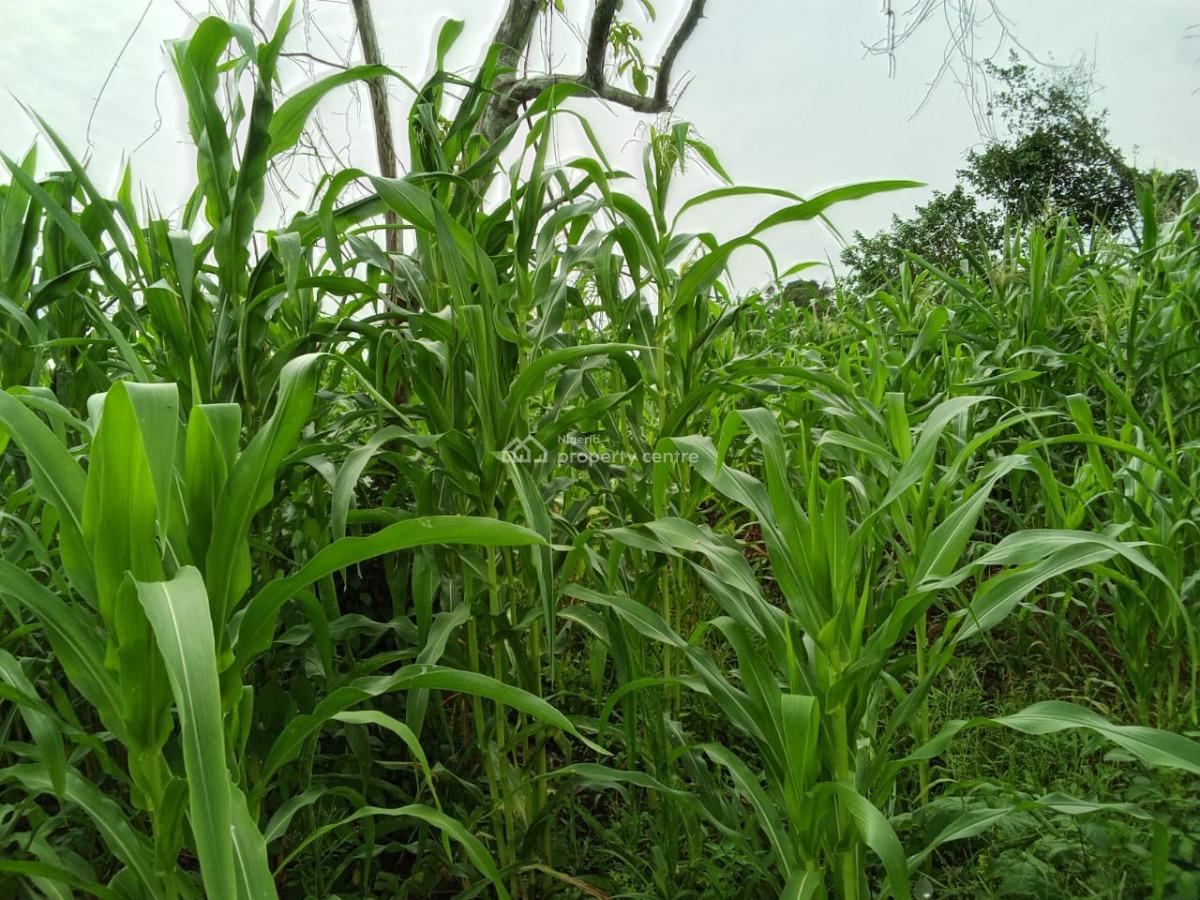 20 Plots of Commercial Land - Facing The Road, Ijupeju - Ire Ekiti Road, Ekiti State, Ado-ekiti, Ekiti, Commercial Land for Sale