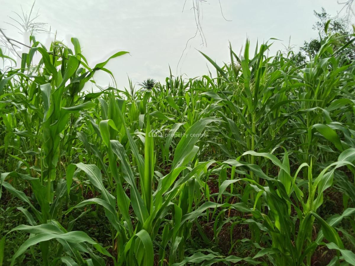 20 Plots of Commercial Land - Facing The Road, Ijupeju - Ire Ekiti Road, Ekiti State, Ado-ekiti, Ekiti, Commercial Land for Sale