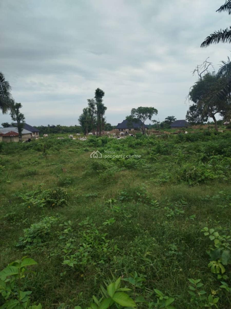 475sqm Residential Plot, Adeleke University Staffs Cics Estate, Off Kuta Road., Ede North, Osun, Residential Land for Sale