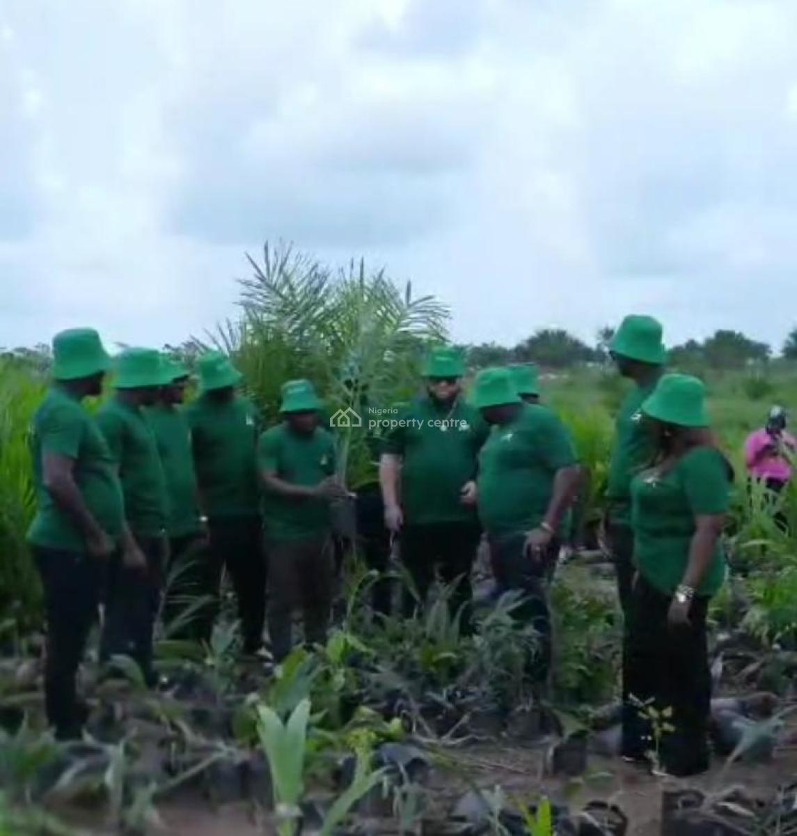 Own The Land. Earn From Palm Tree Produce Yearly, Imala-anigbado, Abeokuta North, Abeokuta North, Ogun, Tank Farm for Sale