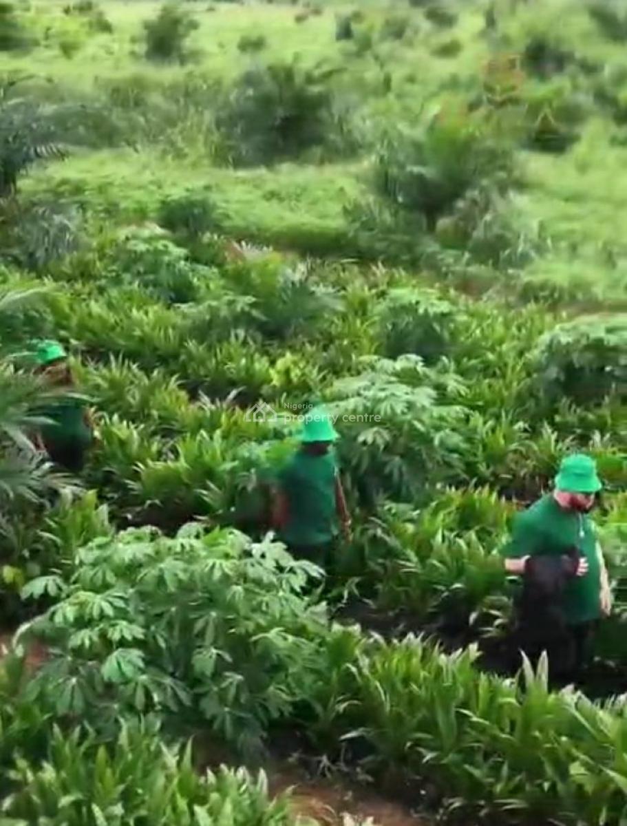 Own The Land. Earn From Palm Tree Produce Yearly, Imala-anigbado, Abeokuta North, Abeokuta North, Ogun, Tank Farm for Sale