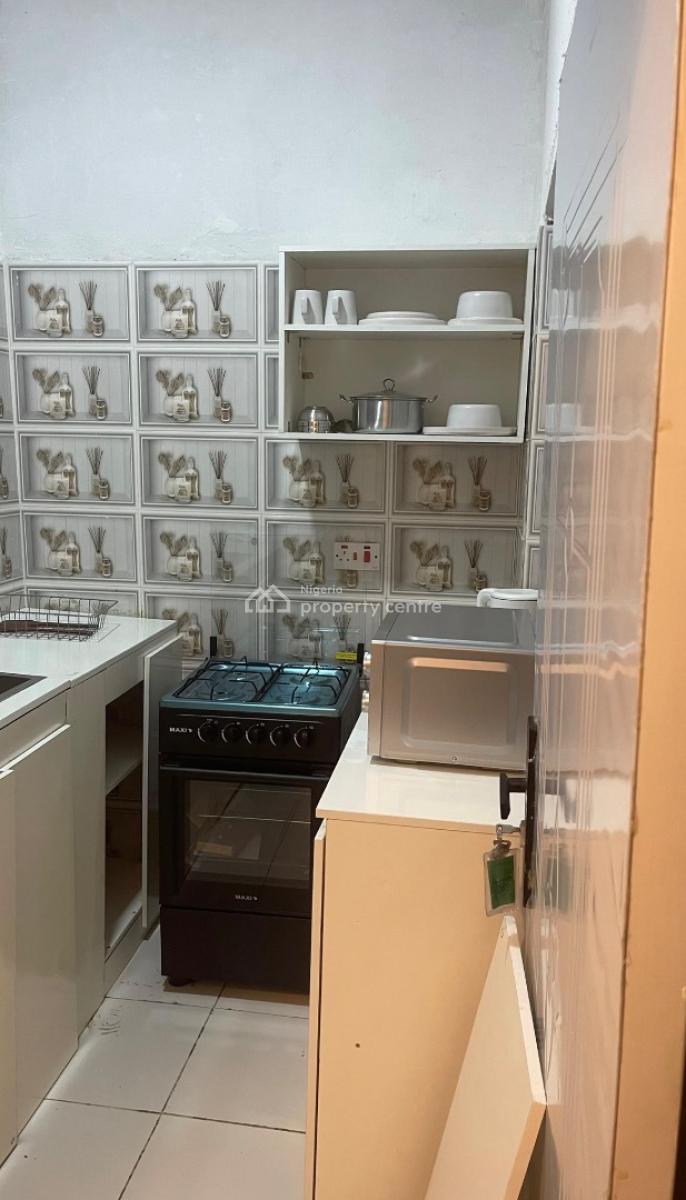 Modern Fully Furnished 1-bedroom Apartment in Asokoro Main, Asokoro District, Abuja, Mini Flat (room and Parlour) for Rent