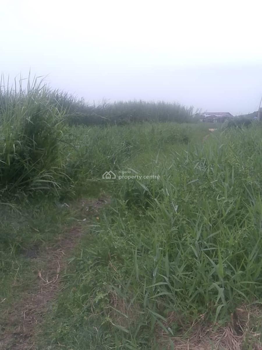Half Plot of Dry Land Suitable for Residential & Commercial Purposes, Close to Baba Adisa Major Road, Ibeju Lekki, Lagos, Mixed-use Land for Sale