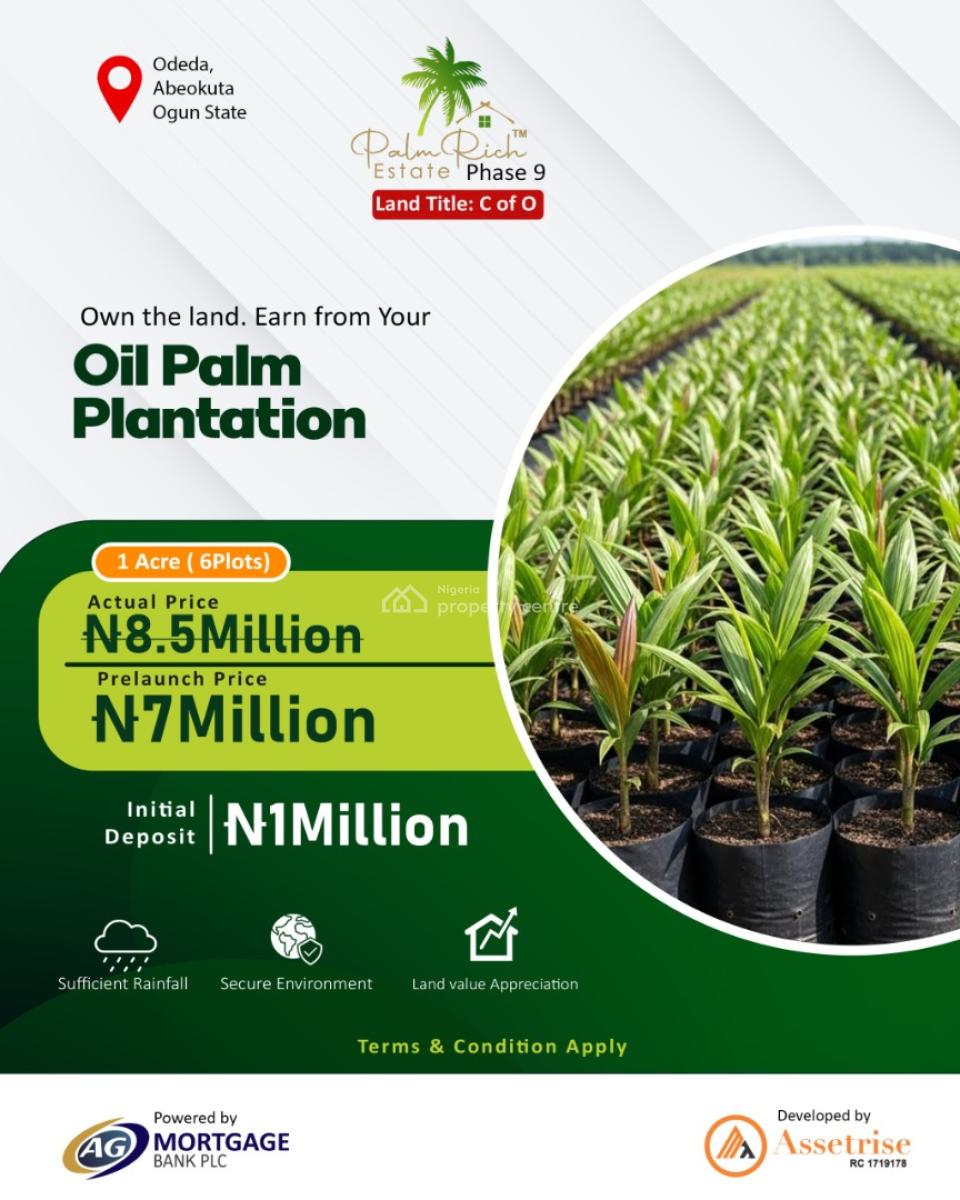 3000sqm(1 Acre) of Palm Tree Farm Land, Opeji Village, After Funaab Campus 2, Odeda, Abeokuta South, Ogun, Land for Sale