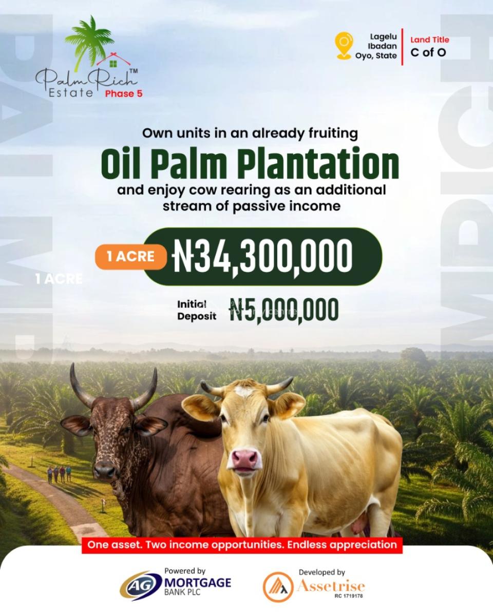 3000 Sqm(1 Acre) of Palm Trees Farm, Iwo Road, Lagelu, Ibadan, Ibadan, Oyo, Land for Sale