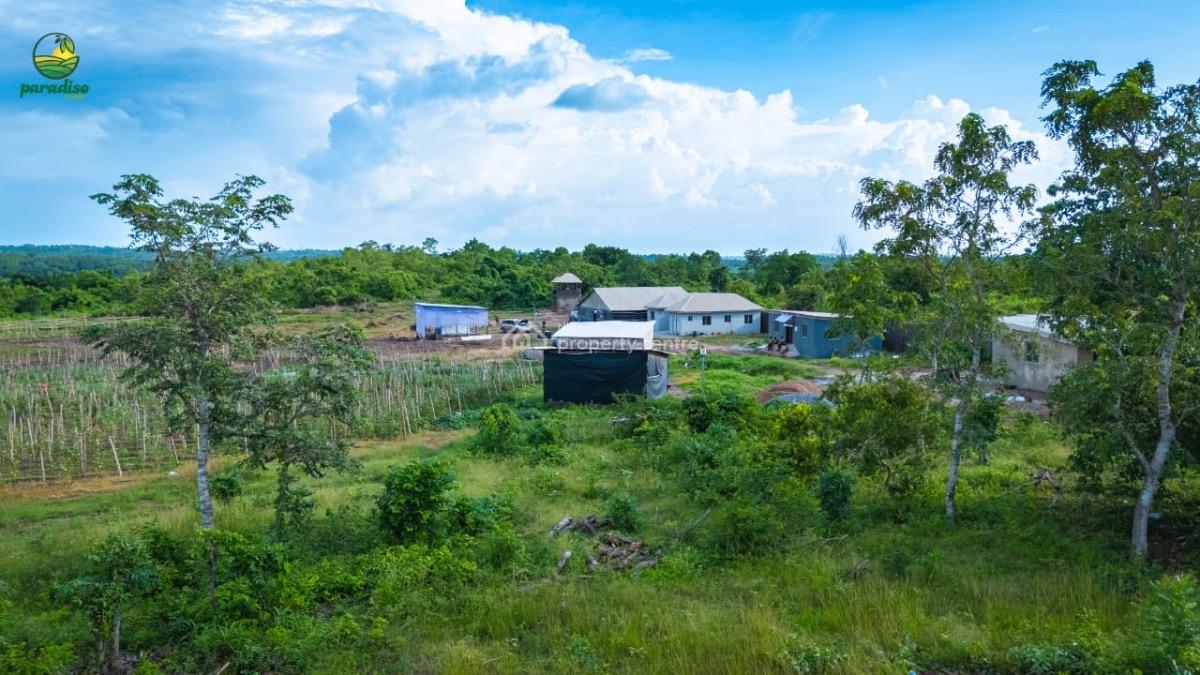 Dry Affordable Farm Land in a Serene Environment, Strictly for Farming, Alabata , Odeda, Abeokuta South, Ogun, Land for Sale