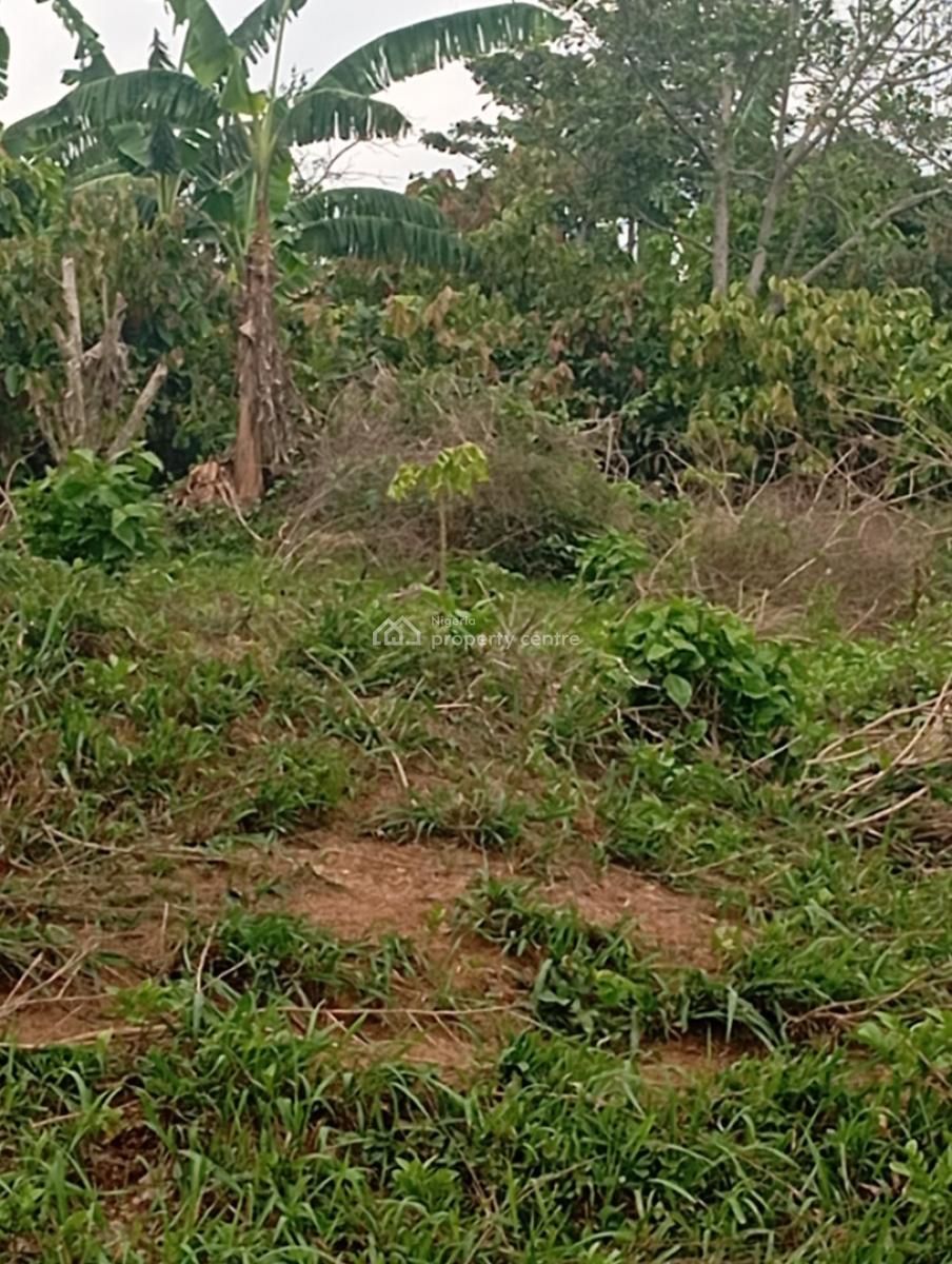 8000acres of Farmland, Badila Village in Ikoyi Ile Osun State, Osogbo, Osun, Commercial Land for Sale