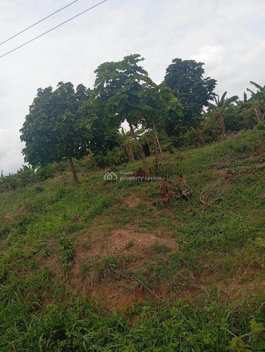 8000acres of Farmland, Badila Village in Ikoyi Ile Osun State, Osogbo, Osun, Commercial Land for Sale