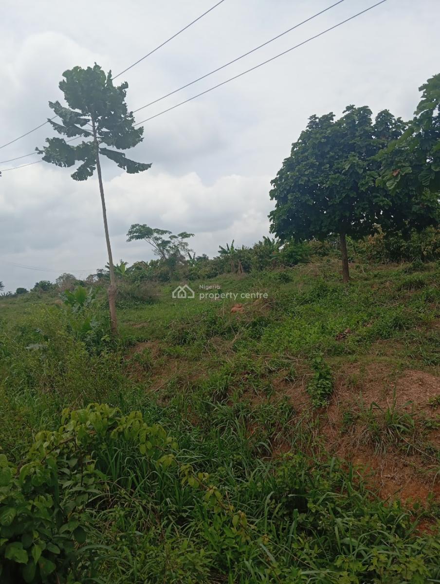 8000acres of Farmland, Badila Village in Ikoyi Ile Osun State, Osogbo, Osun, Commercial Land for Sale