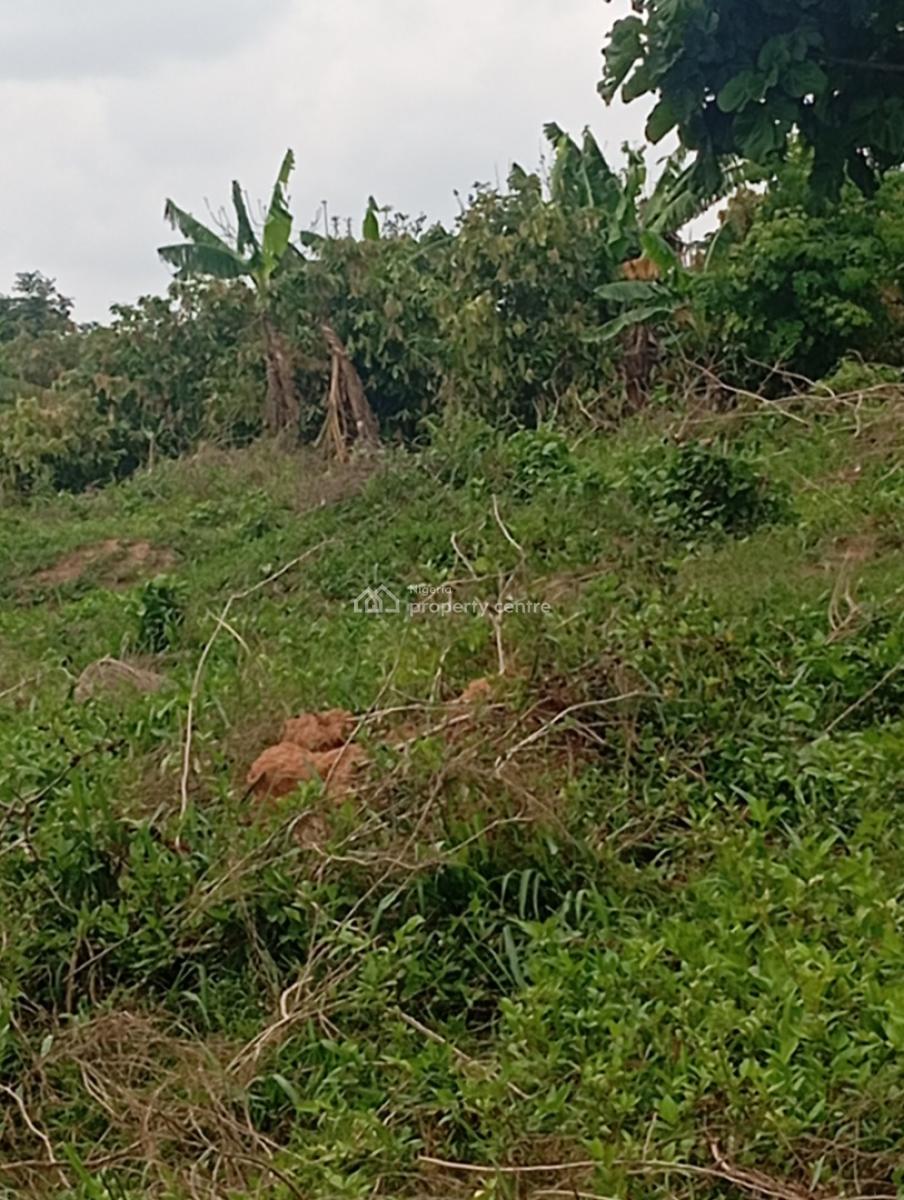 40 Acres of Farmland, 3 Crops of Plantation Existing on It Presently, Wasimi Between Ikire and Gbongan, Osogbo, Osun, Commercial Land for Sale